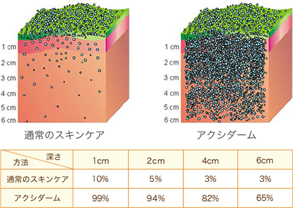 アクシダームの浸透率