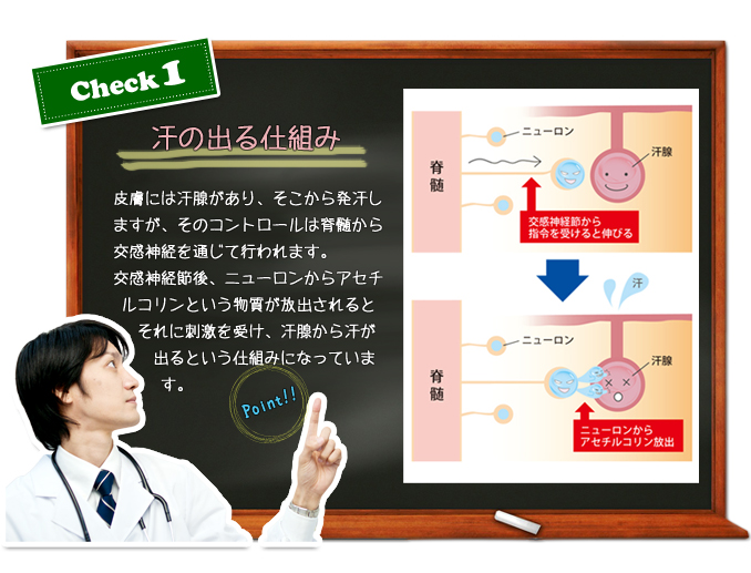 汗の出る仕組み