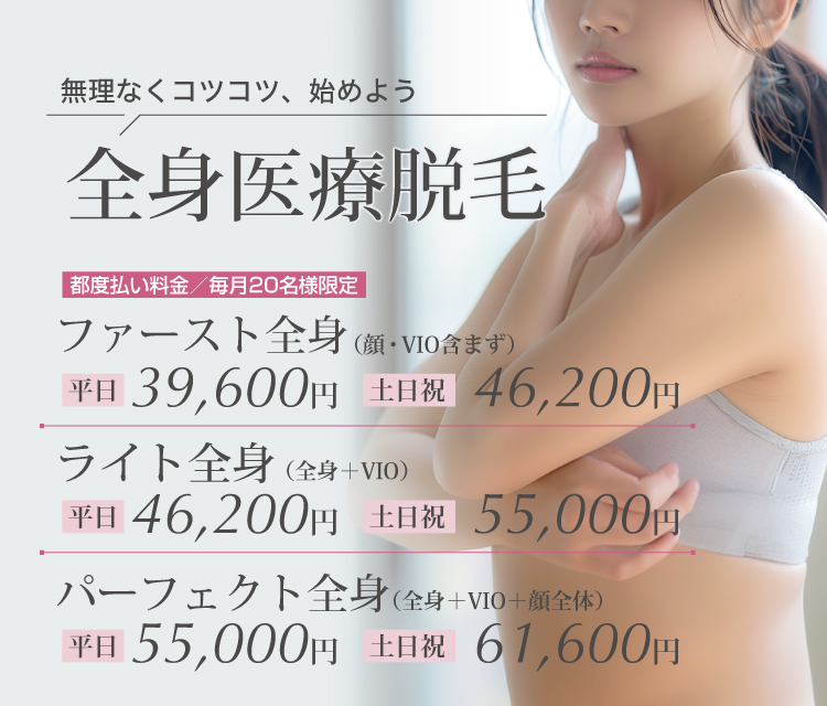 都度払い料金プラン
