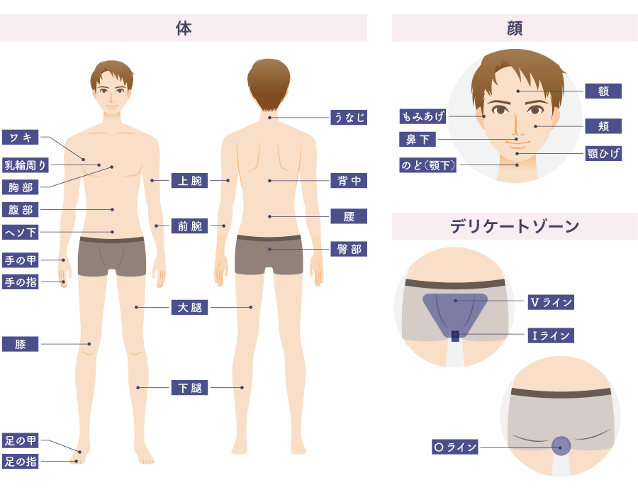 男の子脱毛部位