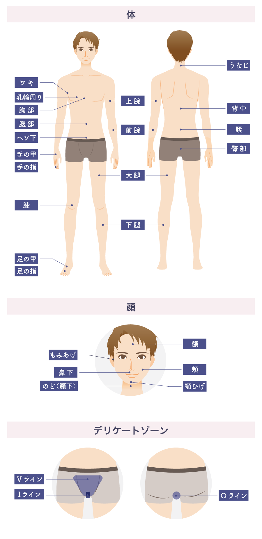 男の子脱毛部位