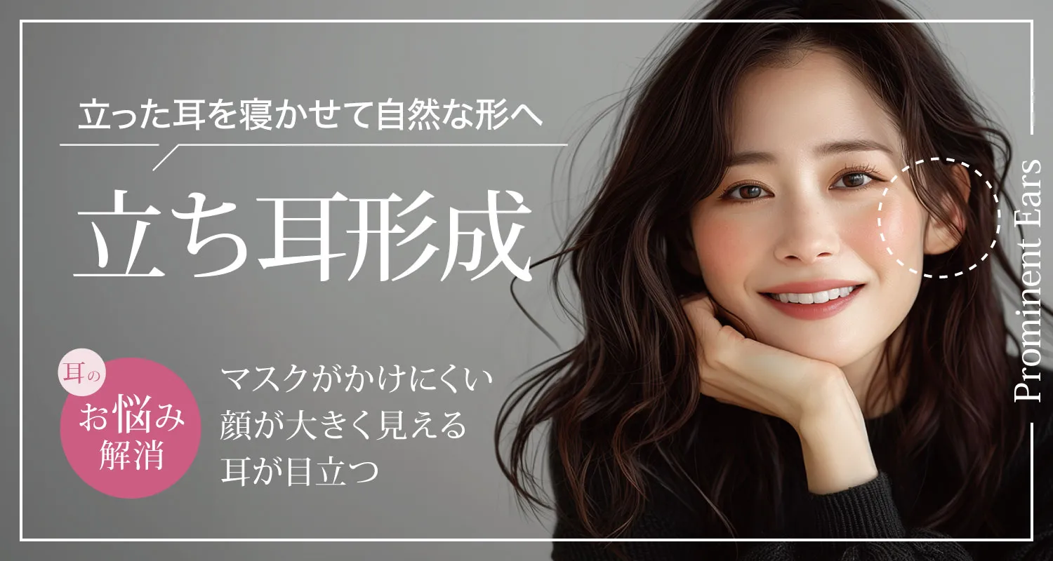 立ち耳形成